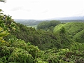 14 Kuilau Ridge trail